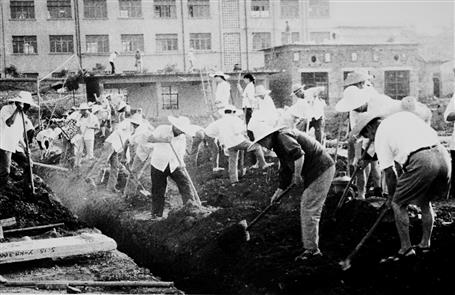 【媒体关注】从东北到广西“开荒” 一家十几个“冶建人”